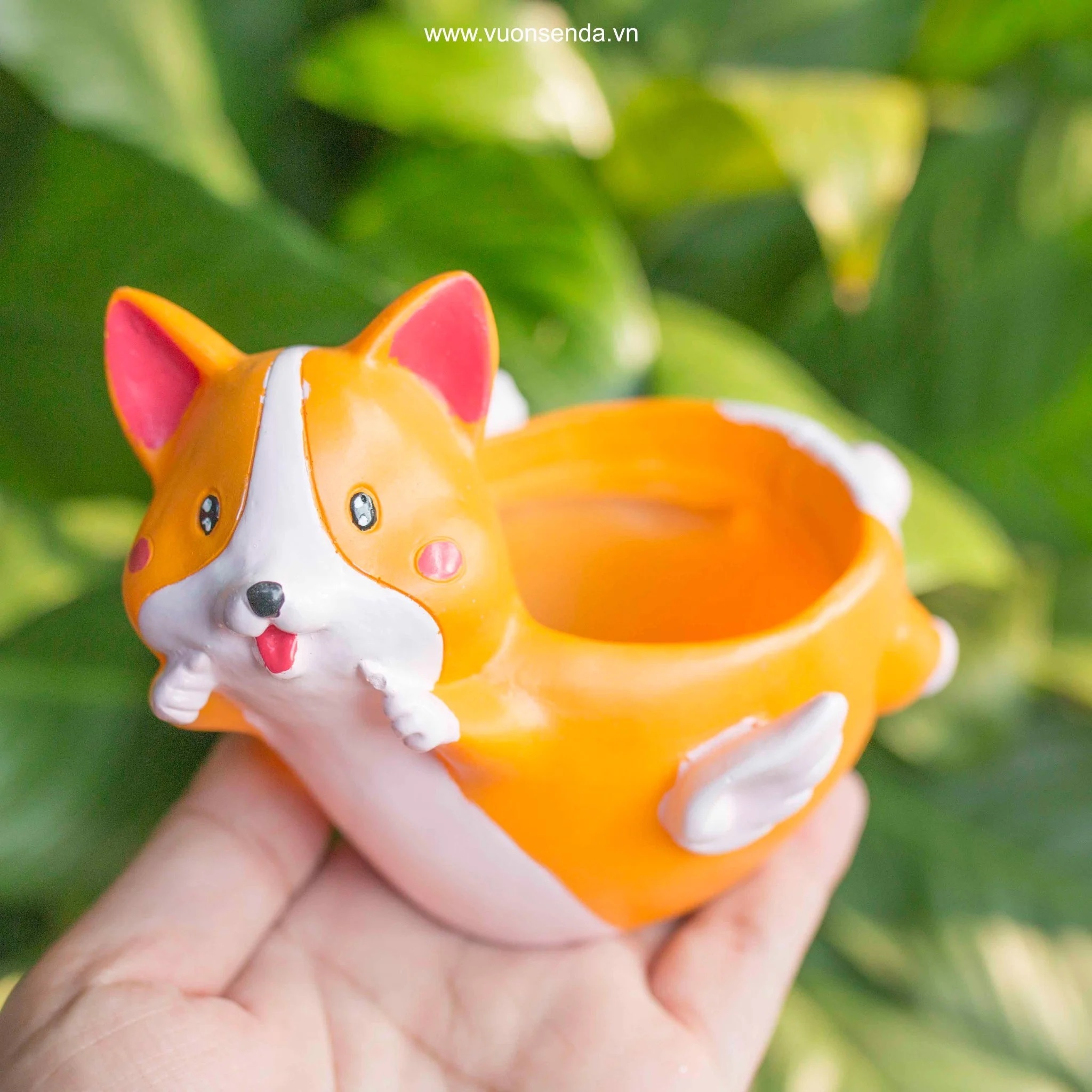 Chậu Corgi